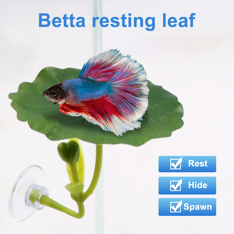 Planted Aquarium Betta - เปลใบไม้สีเขียว 1 ชิ้น สำหรับปลาเบต้า ลดความเครียด ตกแต่งตู้ปลาได้อย่างปลอดภัย