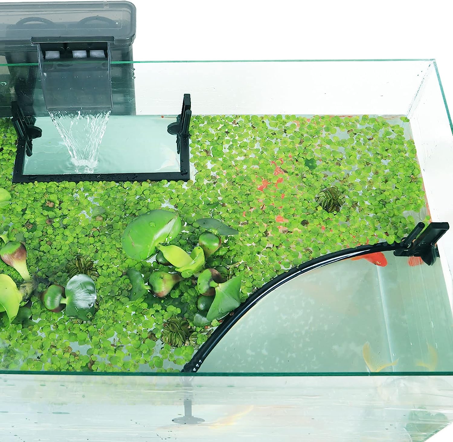 Planted Aquarium Heater - พืชลอยน้ำสำหรับตู้ปลาการสกัดพืชลอยน้ำจากตัวกรองและเครื่องทำความร้อนปรับความสูงได้พร้อมระดับน้ำ
