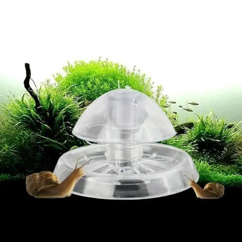 Aquarium Planted Plants - กับดักหอยทากพลาสติกใสขนาด 6/8 ซม. รุ่นใหม่ ปี 2026