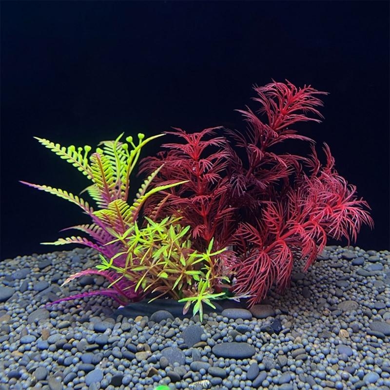 Planted Aquarium For Sale - ต้นไม้ประดับตู้ปลา ของตกแต่งตู้ปลา จำลองพืชในน้ำ ของประดับตกแต่งตู้ปลา ขายดีที่สุด