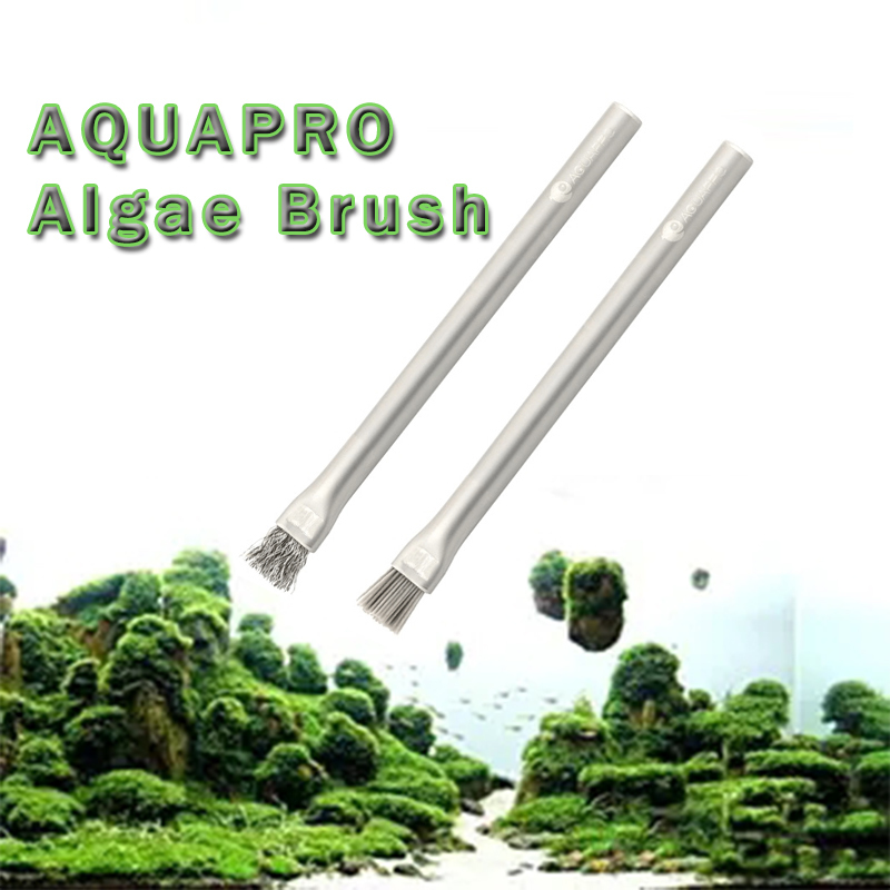 Planted Aquarium Ada - Aquapro Algae Brush Aquarium อุปกรณ์เสริมถังปลาเครื่องมือทําความสะอาดสแตนเลส Hard