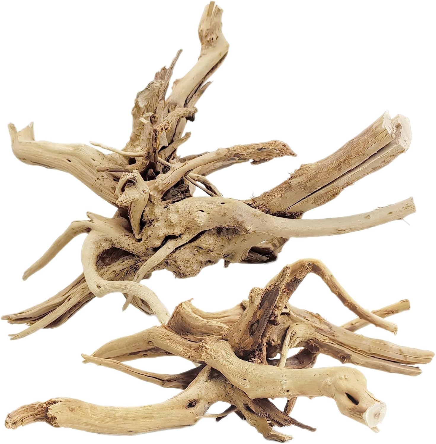 Aquarium Planted Wood - ไม้ลอยน้ำธรรมชาติขนาด 20-25 ซม. 1 ชิ้น สำหรับตกแต่งตู้ปลา