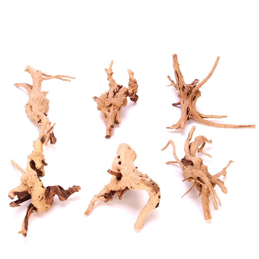 Aquarium Planted Wood - ไม้ตกแต่งตู้ปลา N1N สำหรับจัดสวนในตู้ปลา ของตกแต่งตู้ปลาสำหรับสัตว์เลื้อยคลาน รากต้นไม้ธรรมชาติ ลำต้นไม้