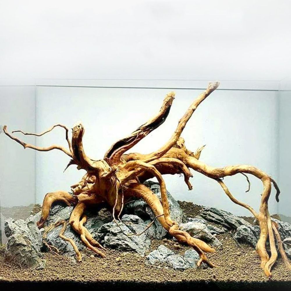 Aquarium Planted Wood - ลำต้นของต้นไม้ธรรมชาติตกแต่งงานไม้ตกแต่งงานศิลปะที่ทำจากไม้กิ่งไม้กิ่งไม้อุปกรณ์ตกแต่งตู้ปลา