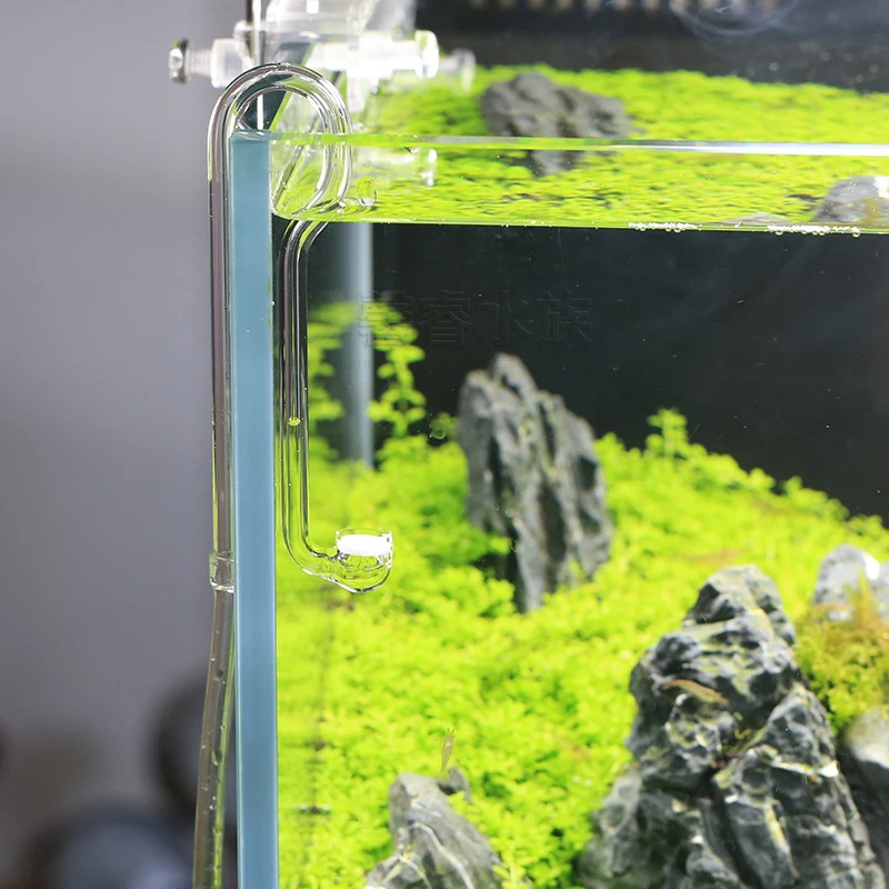 Planted Aquarium Ada - VIV BETTER LIFE CO2 ระบบ Diffuser