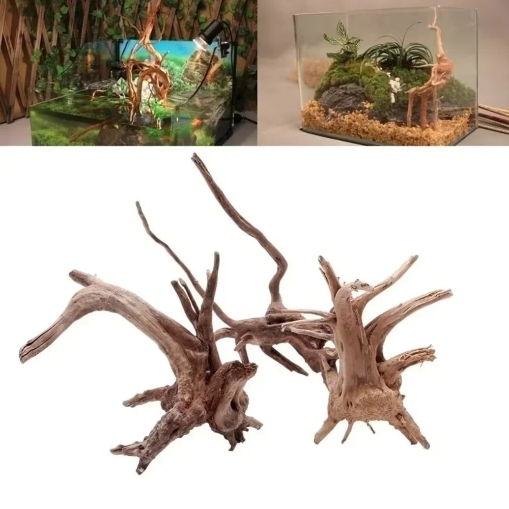 Aquarium Planted Wood - ไม้ลอยน้ำธรรมชาติขนาด 15-20 ซม. สำหรับตกแต่งตู้ปลา - ของตกแต่งตู้ปลาคุณภาพพรีเมียม