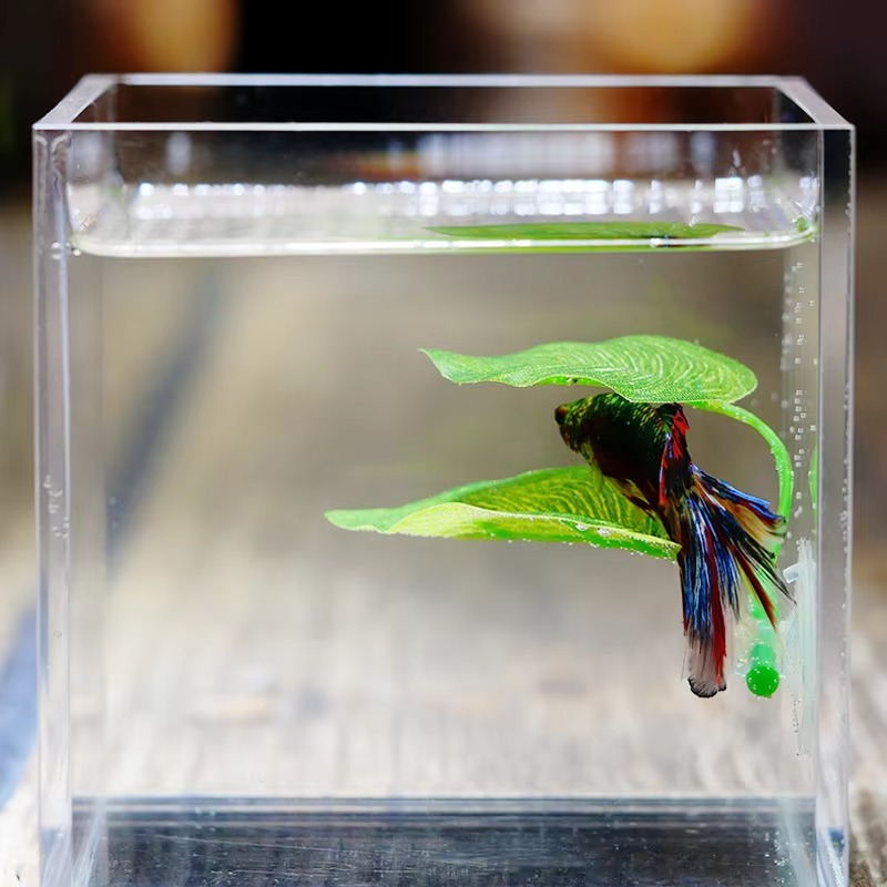 Planted Aquarium Betta - ใบไม้ประดับตู้ปลาสำหรับปลากัด ตกแต่งตู้ปลา ใบไม้ประดับสำหรับการวางไข่ ใบไม้ประดับสำหรับปลากัดเล่นและพักผ่อน ใบไม้ประดิษฐ์สำหรับเป็นที่หลบซ่อน