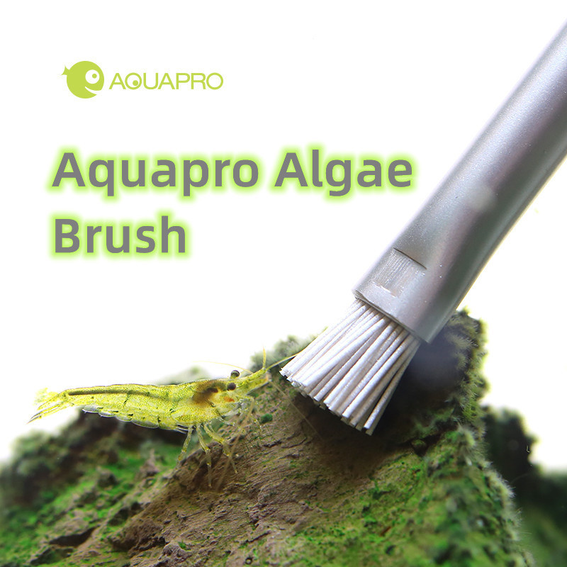 Planted Aquarium Ada - Aquapro แปรงสาหร่าย Aquarium Fish Tank ภูมิทัศน์หินแปรงทำความสะอาดสแตนเลสน้ำ