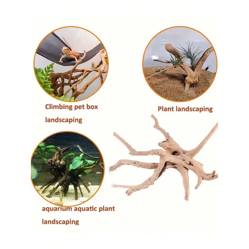 ไม้ลอยน้ำธรรมชาติสำหรับตกแต่งต - Aquarium Planted Wood บทวิจารณ์และราคา