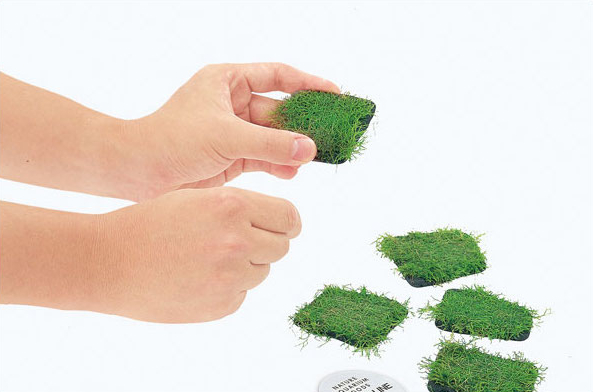 ADA กวางเขากวางมอสผูกด้ายที่มอ - Planted Aquarium Ada บทวิจารณ์และราคา