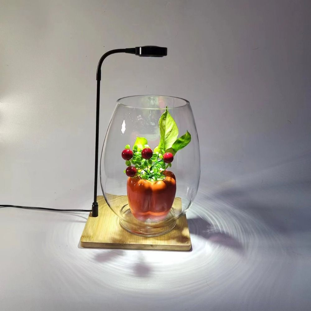 ไฟปลูกต้นไม้ในตู้ปลา 10W พร้อม - Aquarium Plant On Wood บทวิจารณ์และราคา