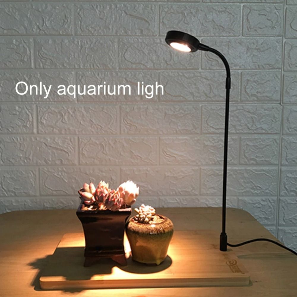 ไฟปลูกต้นไม้ในตู้ปลา 10W พร้อม - Aquarium Plant On Wood บทวิจารณ์และราคา
