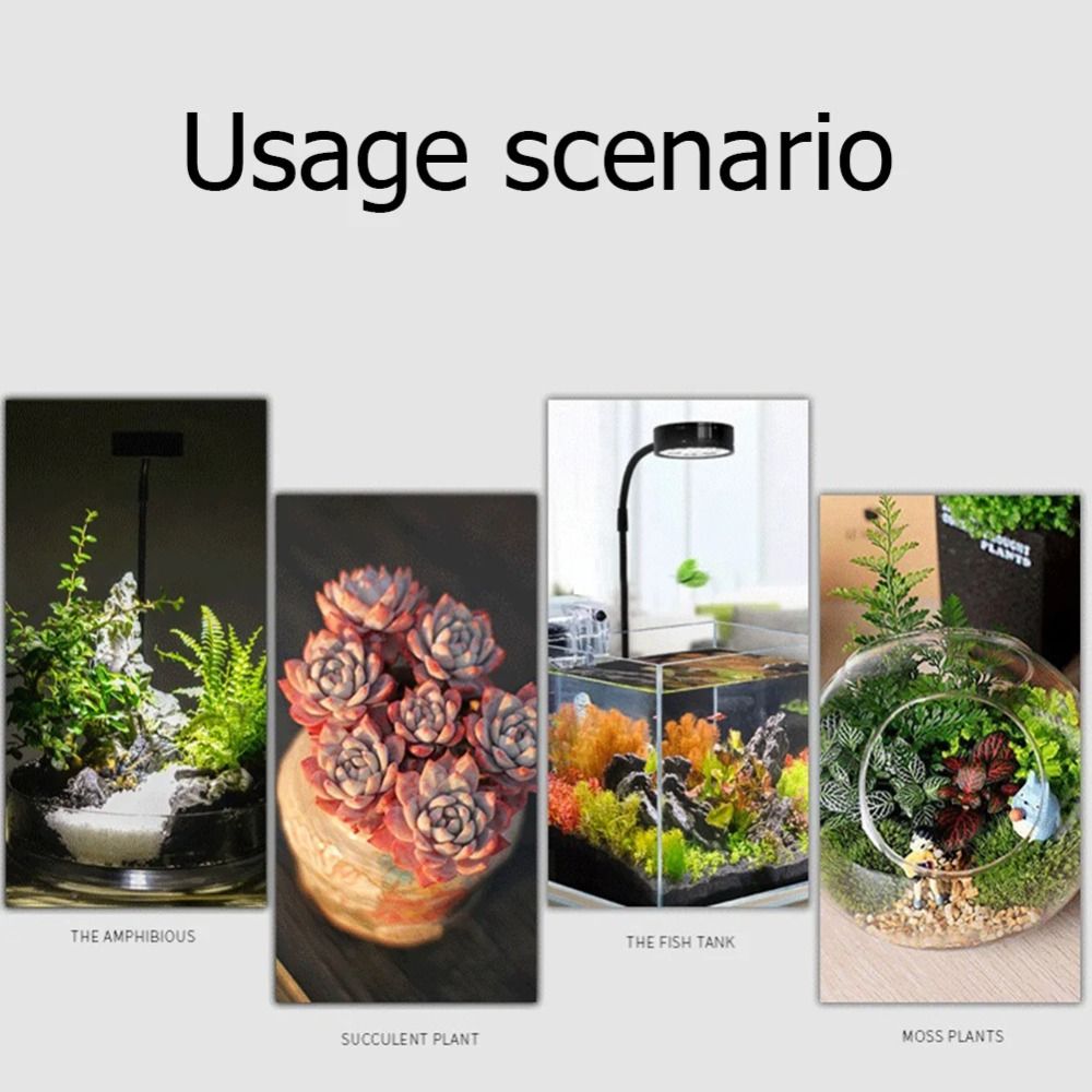 ไฟปลูกต้นไม้ในตู้ปลา 10W พร้อม - Aquarium Plant On Wood บทวิจารณ์และราคา