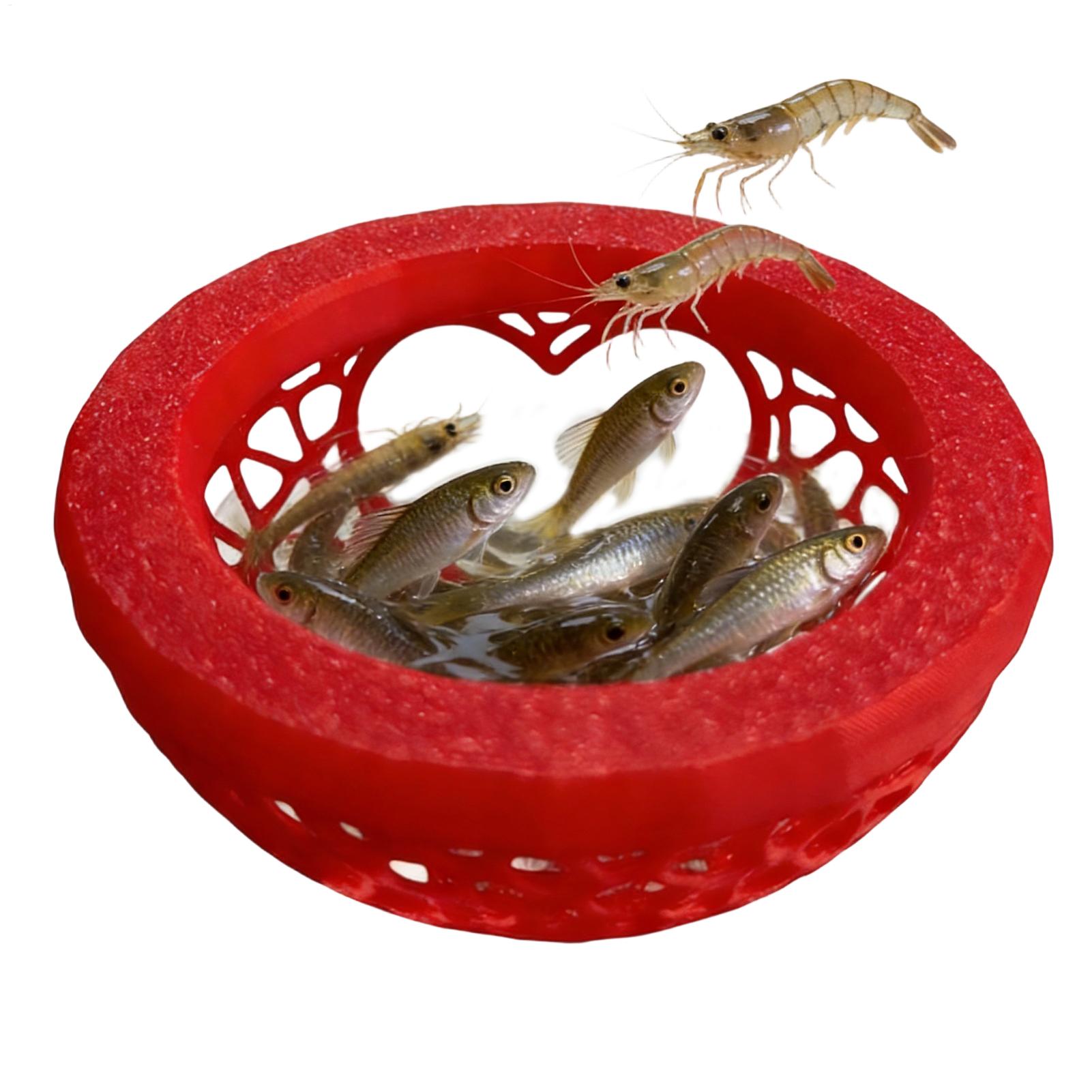 ที่หลบภัยปลาเบต้าแบบลอยน้ำ เปล - Planted Aquarium Betta บทวิจารณ์และราคา