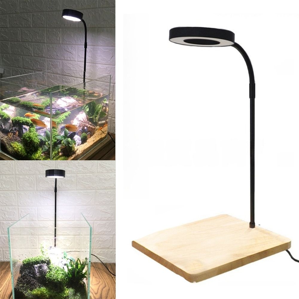 โคมไฟ LED สำหรับตู้ปลา 10W พร้ - Aquarium Plant On Wood บทวิจารณ์และราคา
