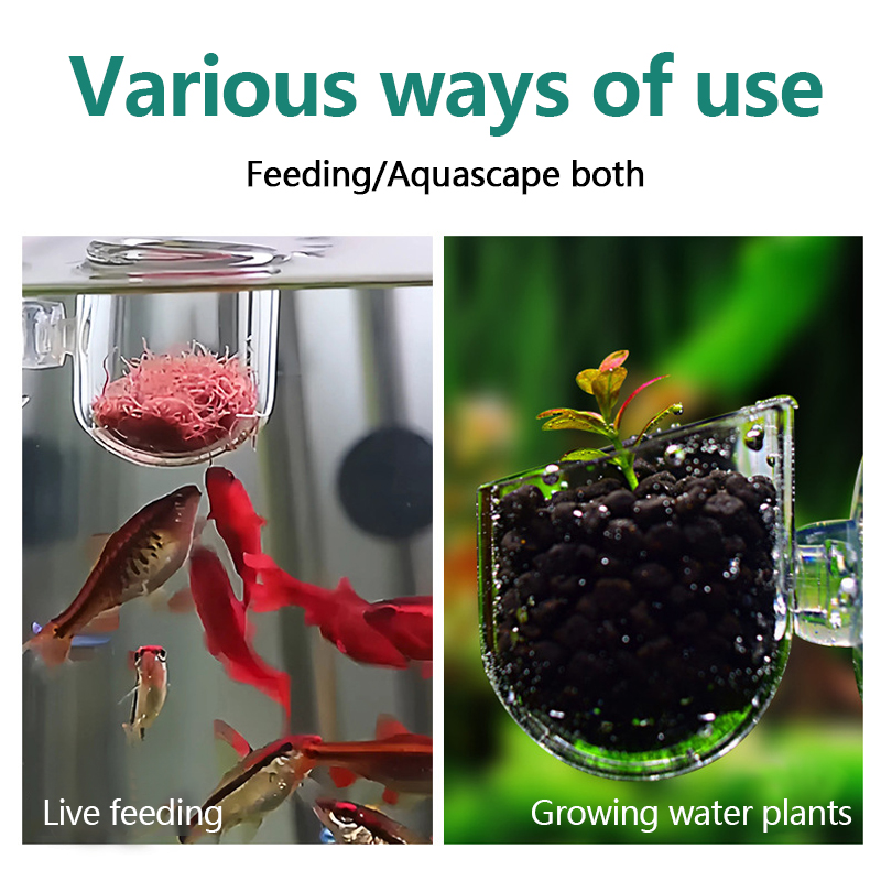 ถ้วยปลูกต้นไม้น้ำสำหรับตกแต่งต - Aquarium Plant Utensils บทวิจารณ์และราคา