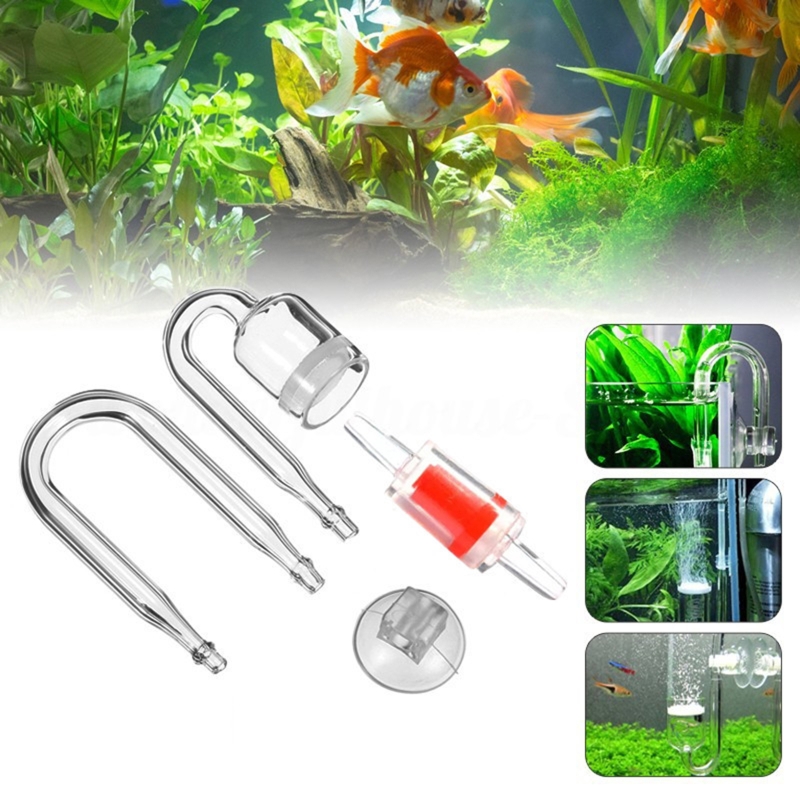 DIY ชุดกระจาย CO2 4ชิ้นสำหรับต - Aquarium Plant Gel บทวิจารณ์และราคา