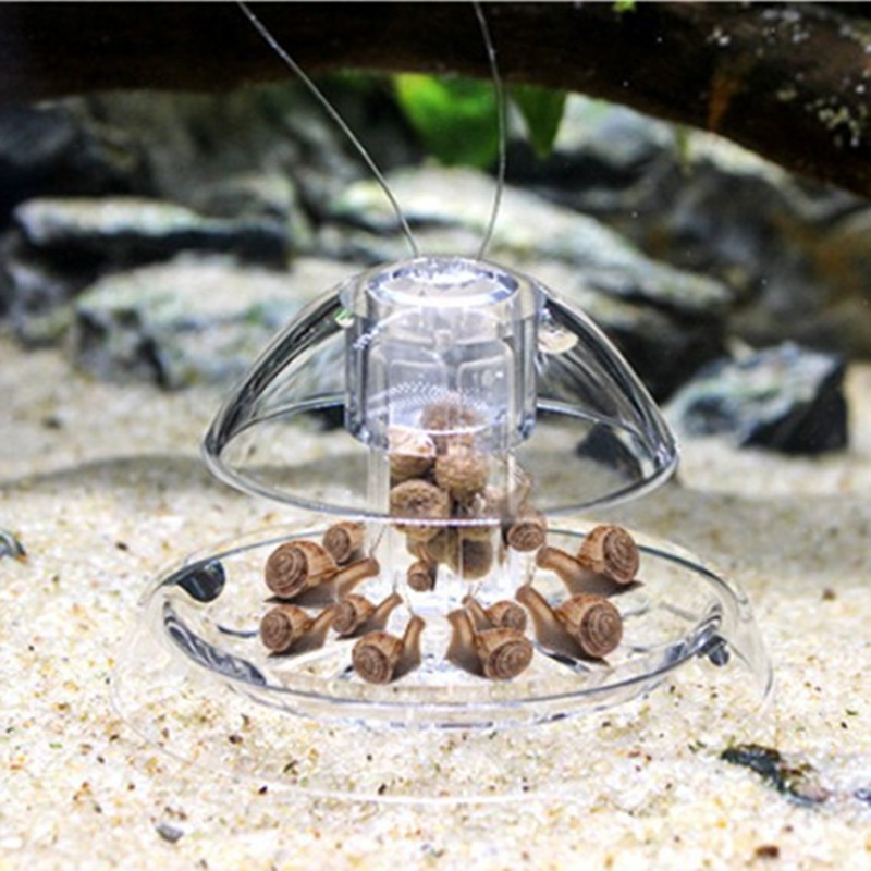 1PCS Fish TANK Aquarium CLEANE - Aquarium Plant Utensils บทวิจารณ์และราคา