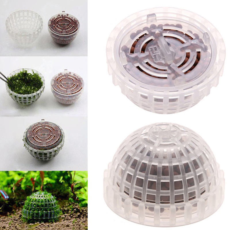 ของตกแต่งตู้ปลา ลดราคา ของใช้ส - Planted Aquarium For Sale บทวิจารณ์และราคา