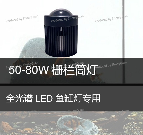ไฟดาวน์ไลท์ LED สำหรับปลูกมอส  - Aquarium Planted Wood บทวิจารณ์และราคา