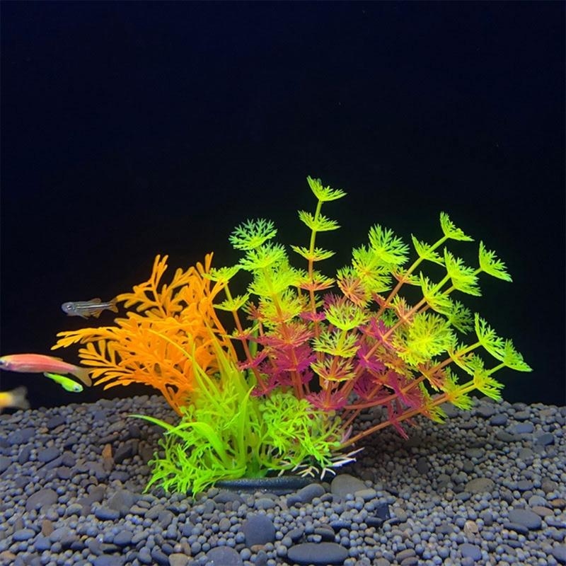 ต้นไม้ประดับตู้ปลา ของตกแต่งตู - Planted Aquarium For Sale บทวิจารณ์และราคา