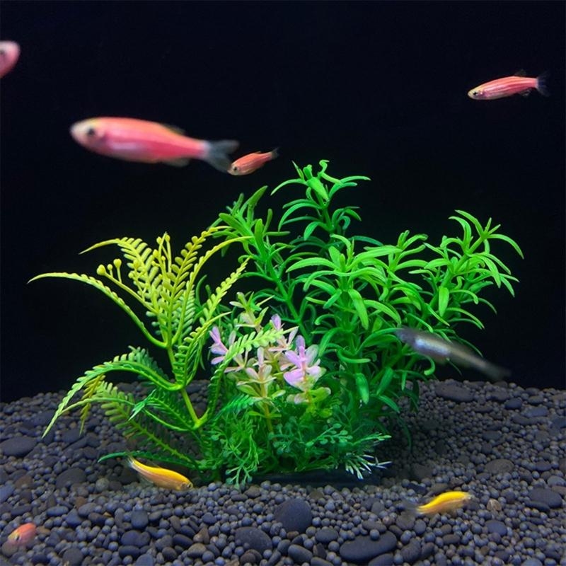 ต้นไม้ประดับตู้ปลา ของตกแต่งตู - Planted Aquarium For Sale บทวิจารณ์และราคา