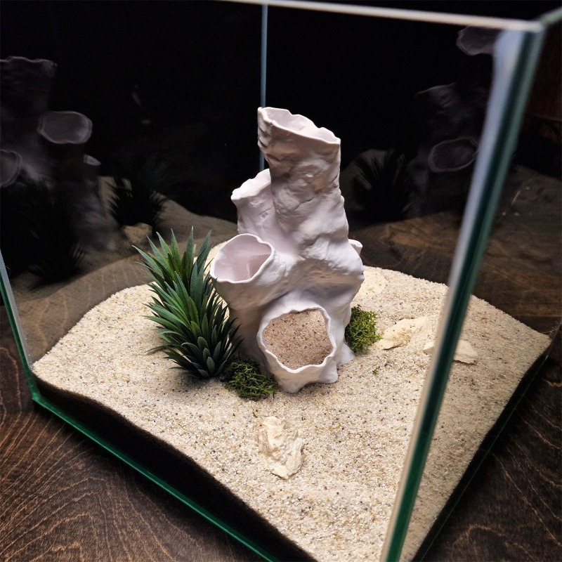 ของตกแต่งตู้ปลา/ตู้เลี้ยงสัตว์ - Planted Aquarium Betta บทวิจารณ์และราคา