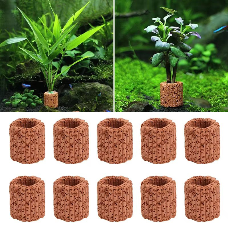 พืชน้ําแหวนคงที่สําหรับพิพิธภั - Aquarium Plant Utensils บทวิจารณ์และราคา