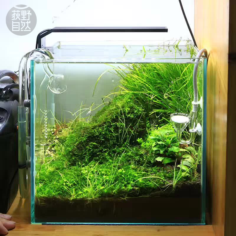 Chihiros C series ADA สไตล์ LE - Planted Aquarium Ada บทวิจารณ์และราคา