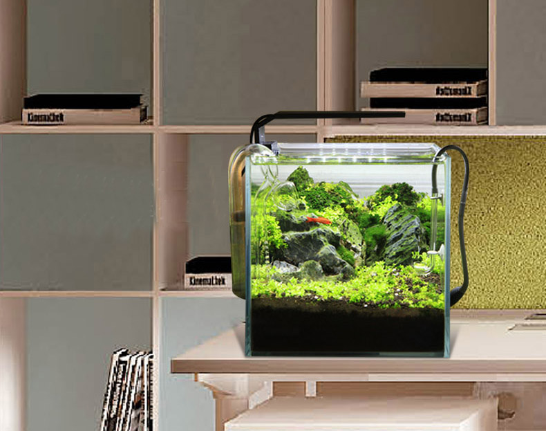 Chihiros C series ADA สไตล์ LE - Planted Aquarium Ada บทวิจารณ์และราคา