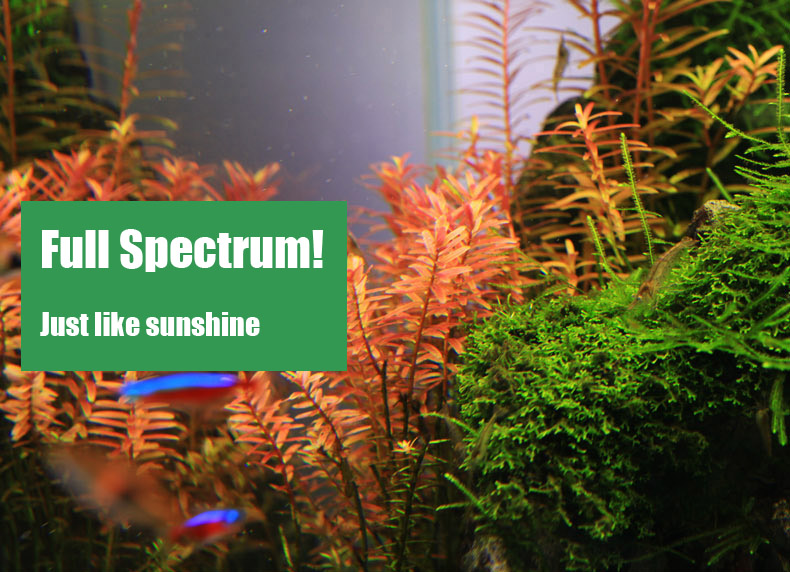 Chihiros C series ADA สไตล์ LE - Planted Aquarium Ada บทวิจารณ์และราคา