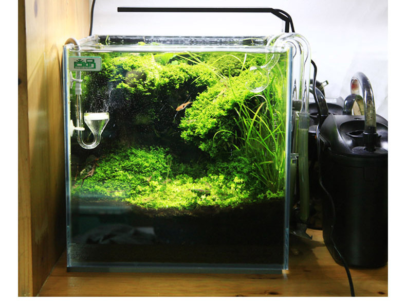 Chihiros C series ADA สไตล์ LE - Planted Aquarium Ada บทวิจารณ์และราคา