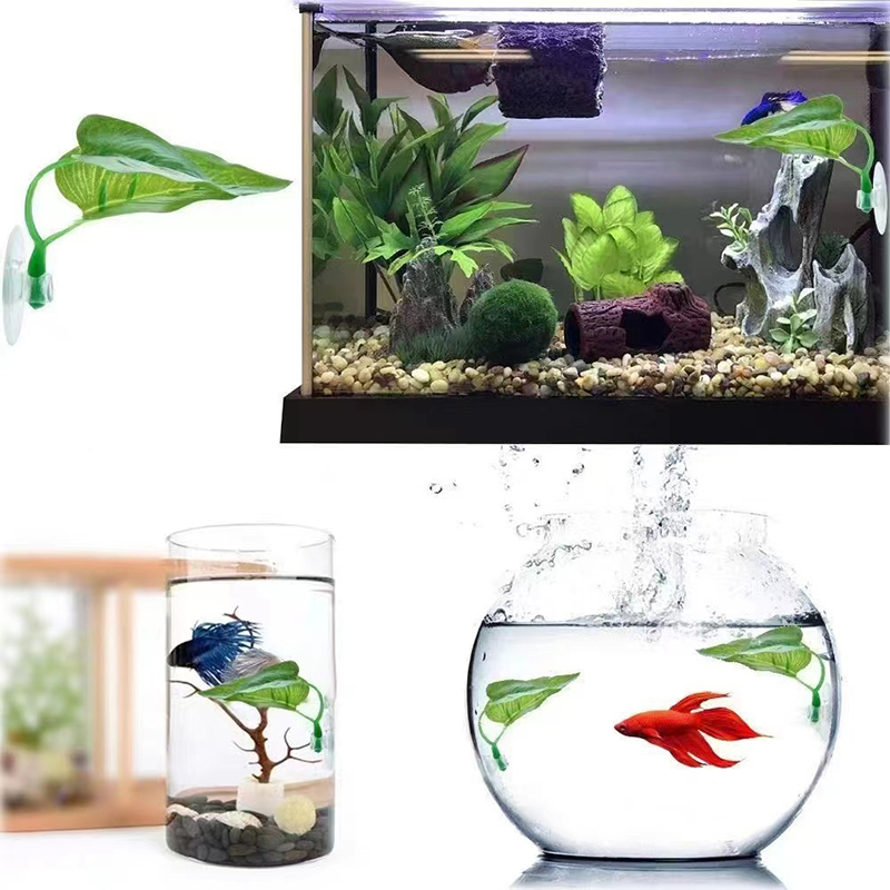 ต้นไม้ประดิษฐ์สำหรับตกแต่งตู้ป - Planted Aquarium Betta บทวิจารณ์และราคา