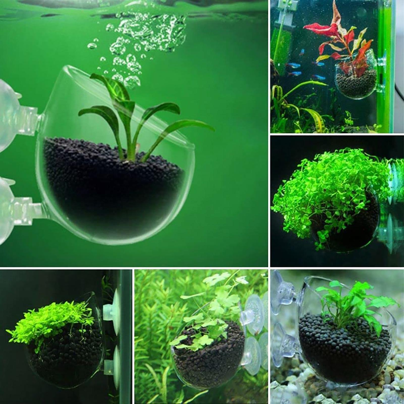 กระถางปลูกต้นไม้ตกแต่งตู้ปลา อ - Aquarium Plant Utensils บทวิจารณ์และราคา