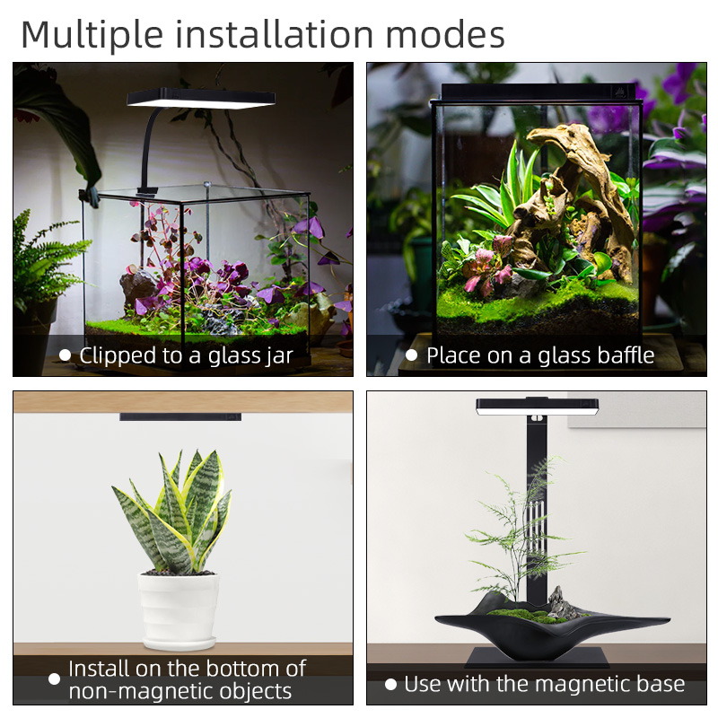 ไฟปลูกต้นไม้ในร่มแบบพกพา Mini9 - Planted Aquarium For Sale บทวิจารณ์และราคา
