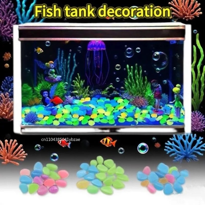 หินเรืองแสงในที่มืด 100-800 ชิ - Aquarium Planted Plants บทวิจารณ์และราคา
