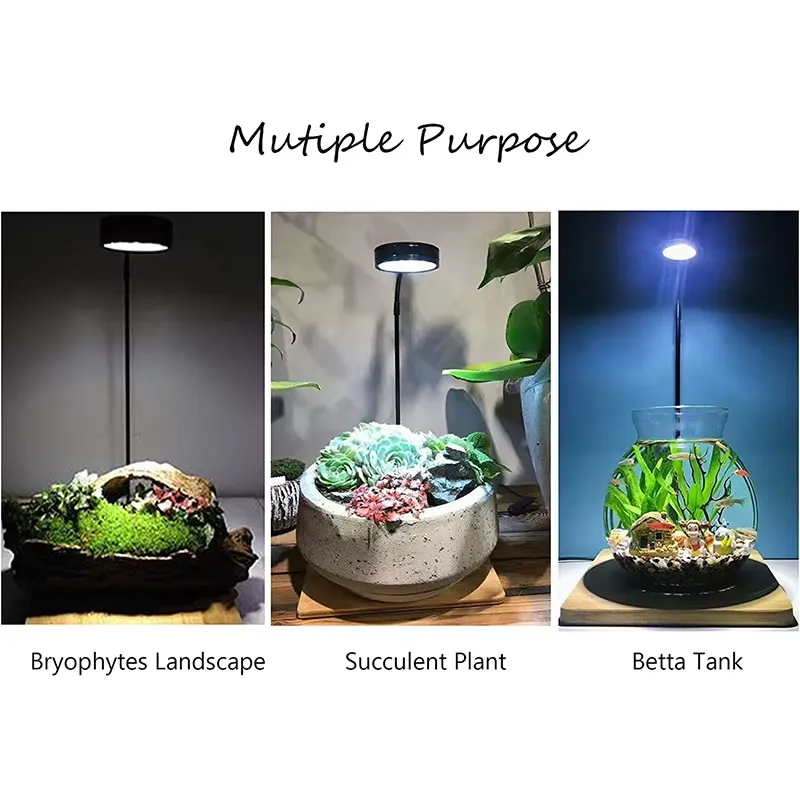 ไฟ LED ฟูลสเปกตรัมพร้อมแผงวงจร - Planted Aquarium Betta บทวิจารณ์และราคา