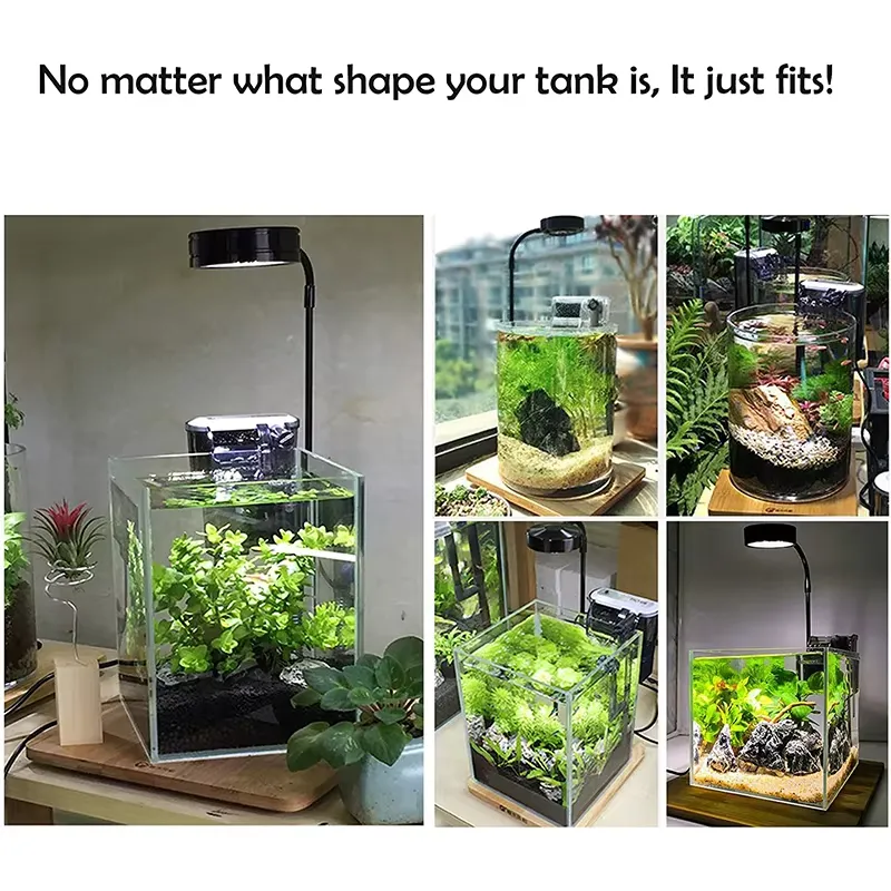 ไฟ LED ฟูลสเปกตรัมพร้อมแผงวงจร - Planted Aquarium Betta บทวิจารณ์และราคา
