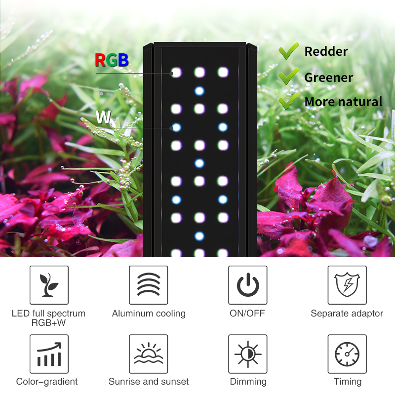 ไฟ LED สำหรับตู้ปลา ZXY Hot Sa - Planted Aquarium For Sale บทวิจารณ์และราคา