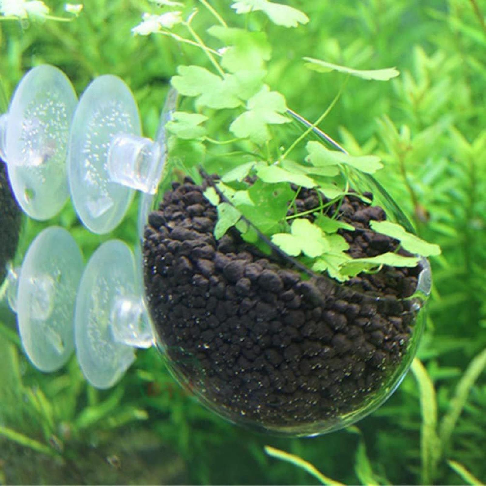กระถางแก้วสำหรับปลูกต้นไม้ในตู - Aquarium Plant Gel บทวิจารณ์และราคา