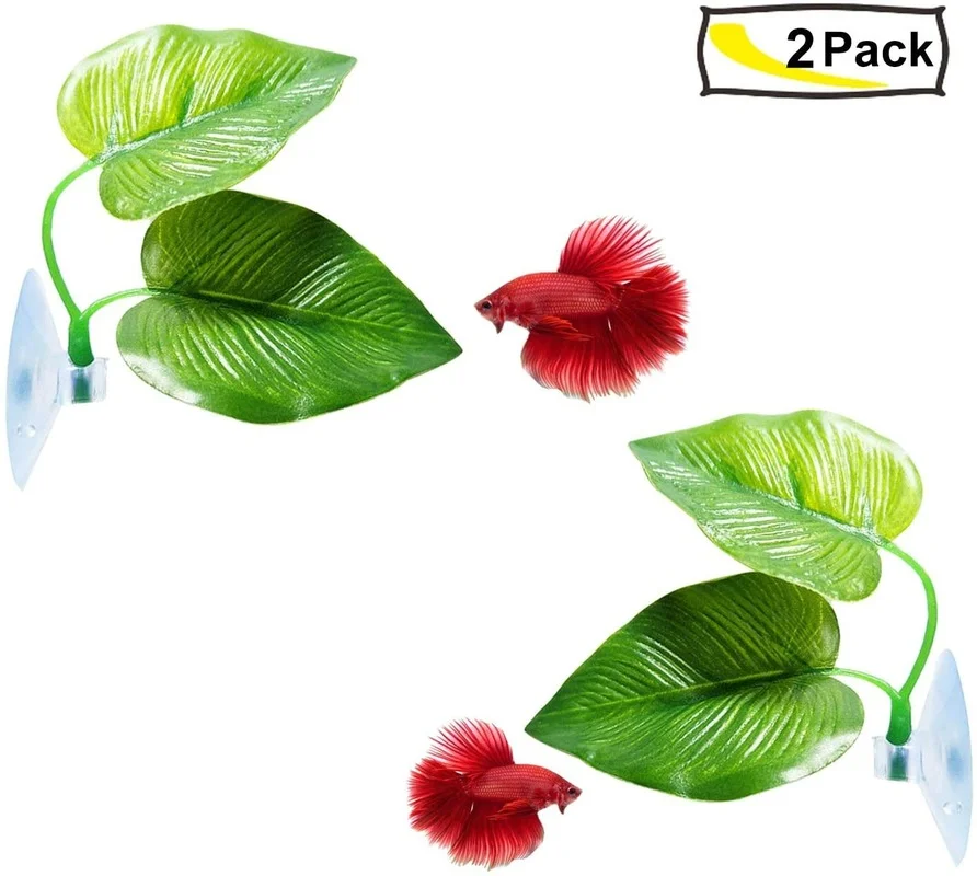 เปลญวนใบปลา Betta จําลองที่อยู - Planted Aquarium Betta บทวิจารณ์และราคา