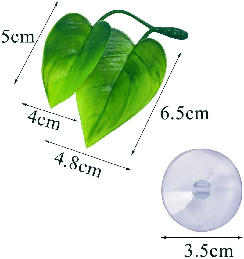 เปลญวนใบปลา Betta จําลองที่อยู - Planted Aquarium Betta บทวิจารณ์และราคา
