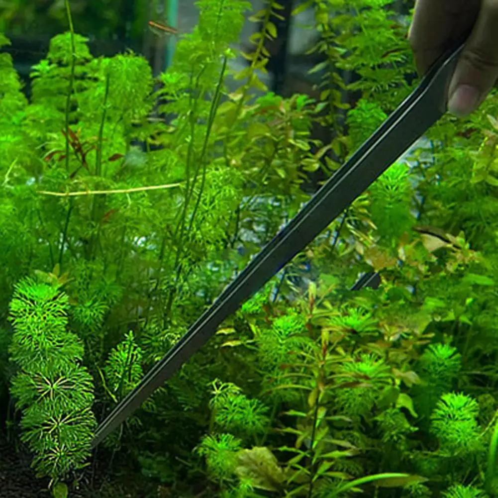 แหนบสเตนเลส27ซม. ใช้ได้ทั่วโลก - Aquarium Plant Utensils บทวิจารณ์และราคา