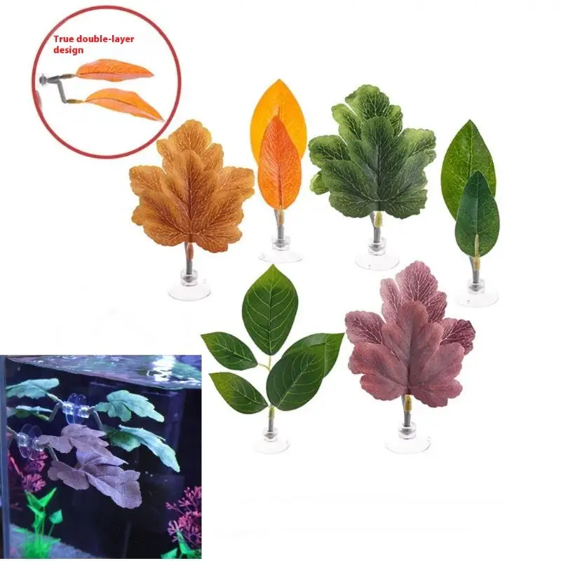 เปลใบไม้สำหรับปลากัด ตกแต่งตู้ - Planted Aquarium Betta บทวิจารณ์และราคา