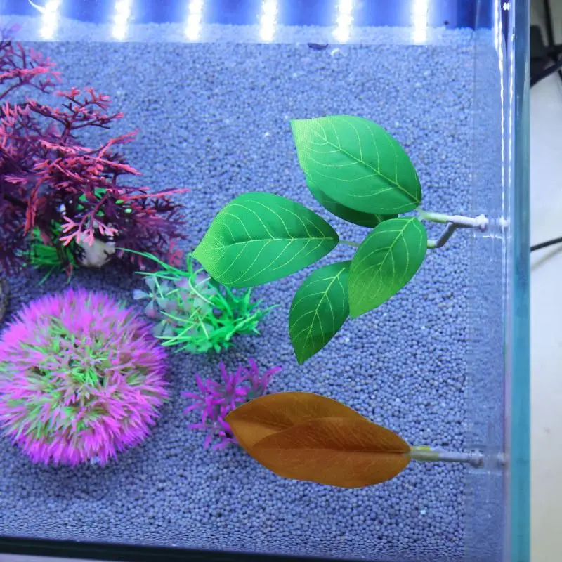 เปลใบไม้สำหรับปลากัด ตกแต่งตู้ - Planted Aquarium Betta บทวิจารณ์และราคา