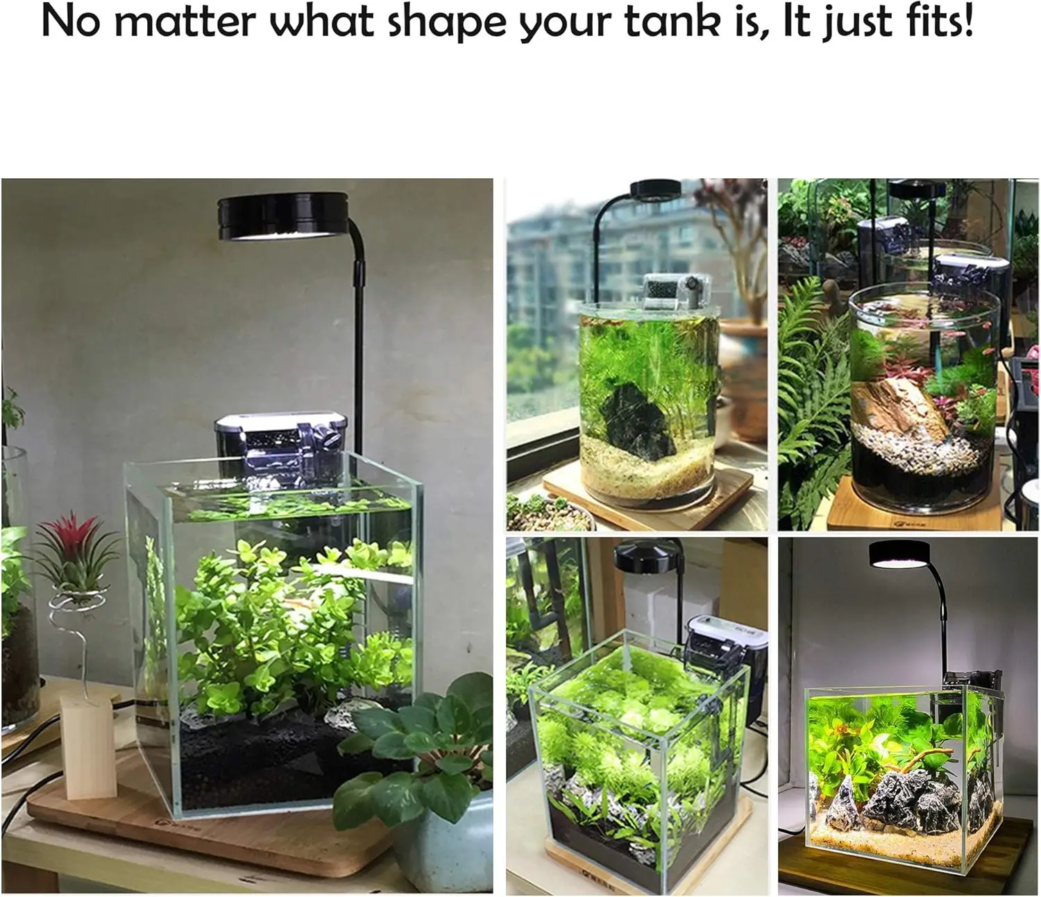 LED Aquarium Grow Light พร้อมก - Planted Aquarium Betta บทวิจารณ์และราคา