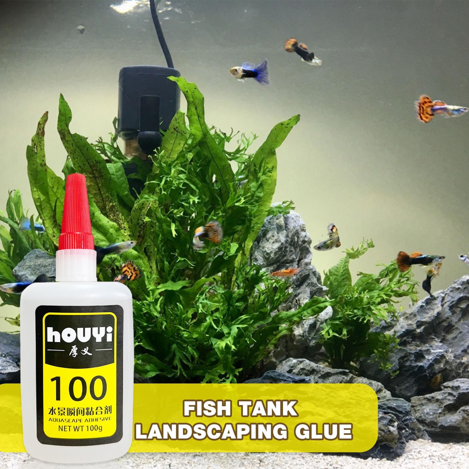 กาวติดต้นไม้น้ำแบบใส 50/100 กร - Aquarium Planted Plants บทวิจารณ์และราคา