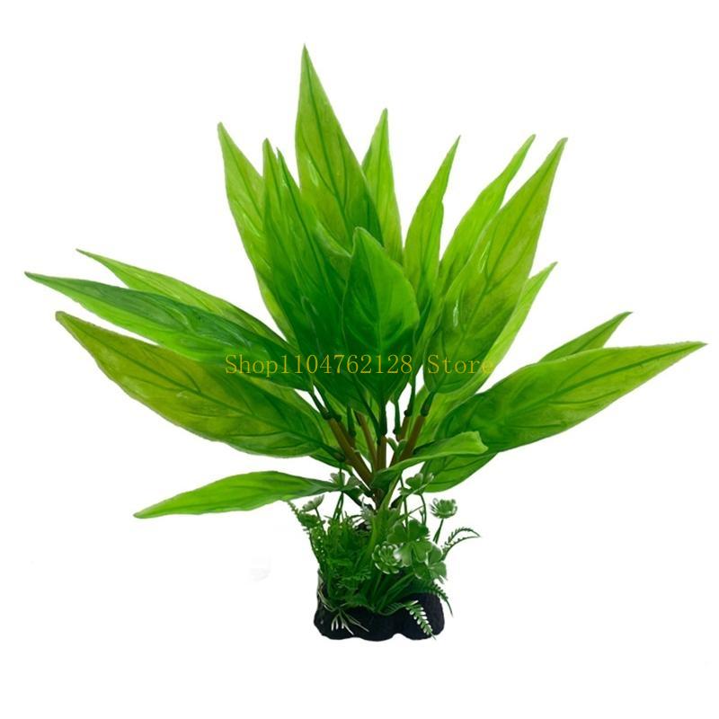 พิพิธภัณฑ์สัตว์น้ำพืชน้ำพลาสติ - Planted Aquarium For Sale บทวิจารณ์และราคา