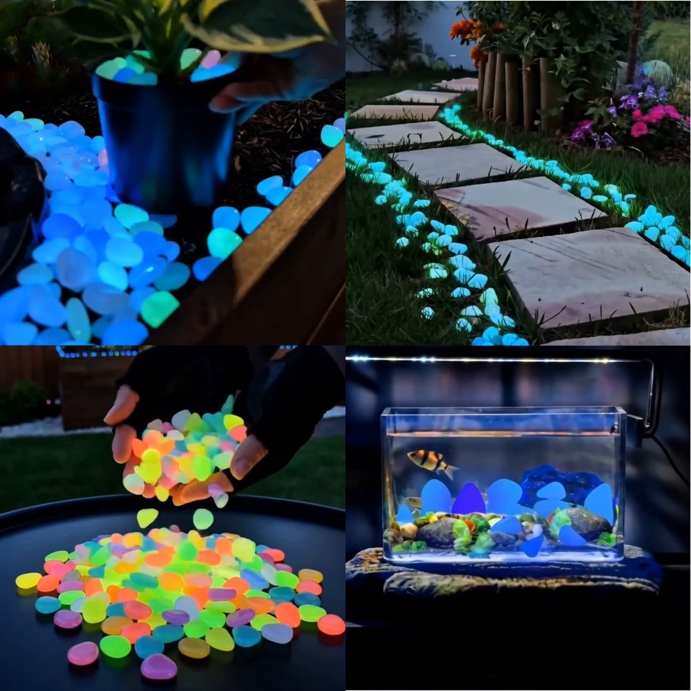 หินเรืองแสงหลากสีสันสำหรับตกแต - Aquarium Planted Plants บทวิจารณ์และราคา