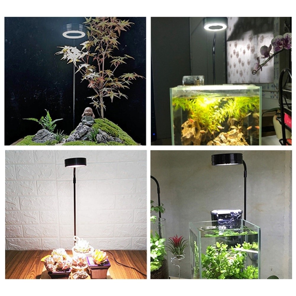 ไฟ LED สำหรับตู้ปลา 10W พร้อมแ - Aquarium Plant On Wood บทวิจารณ์และราคา